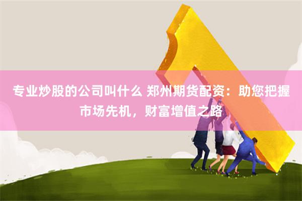 专业炒股的公司叫什么 郑州期货配资：助您把握市场先机，财富增值之路