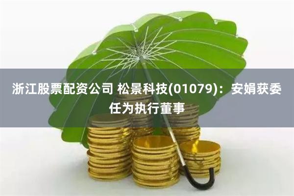 浙江股票配资公司 松景科技(01079)：安娟获委任为执行董事