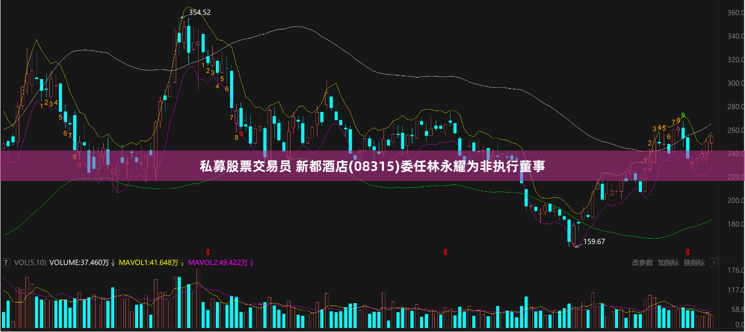 私募股票交易员 新都酒店(08315)委任林永耀为非执行董事